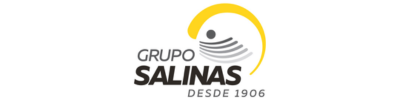 grupo-salinas